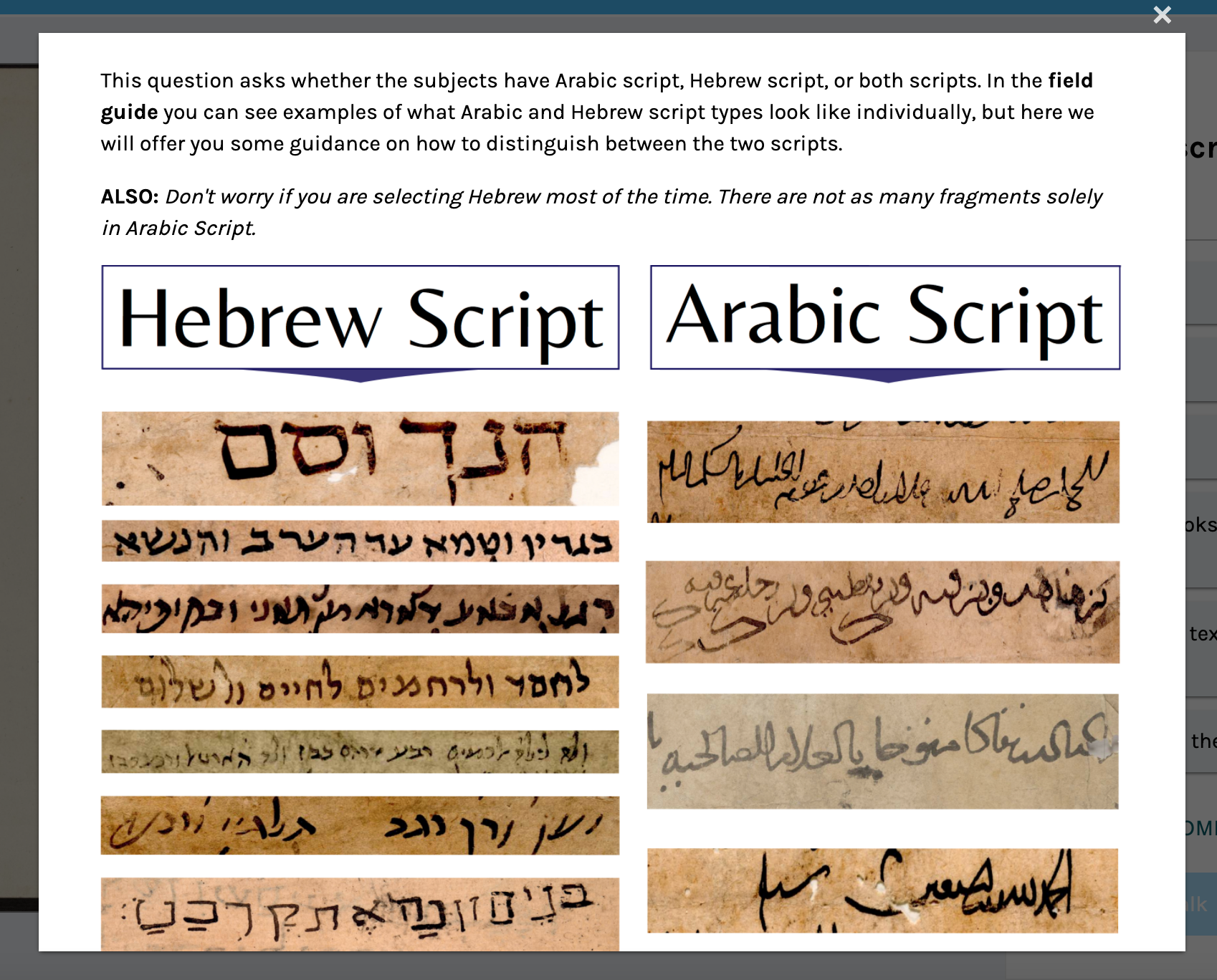 Two columns of screenshots from Geniza fragments displaying Hebrew and Arabic script examples.