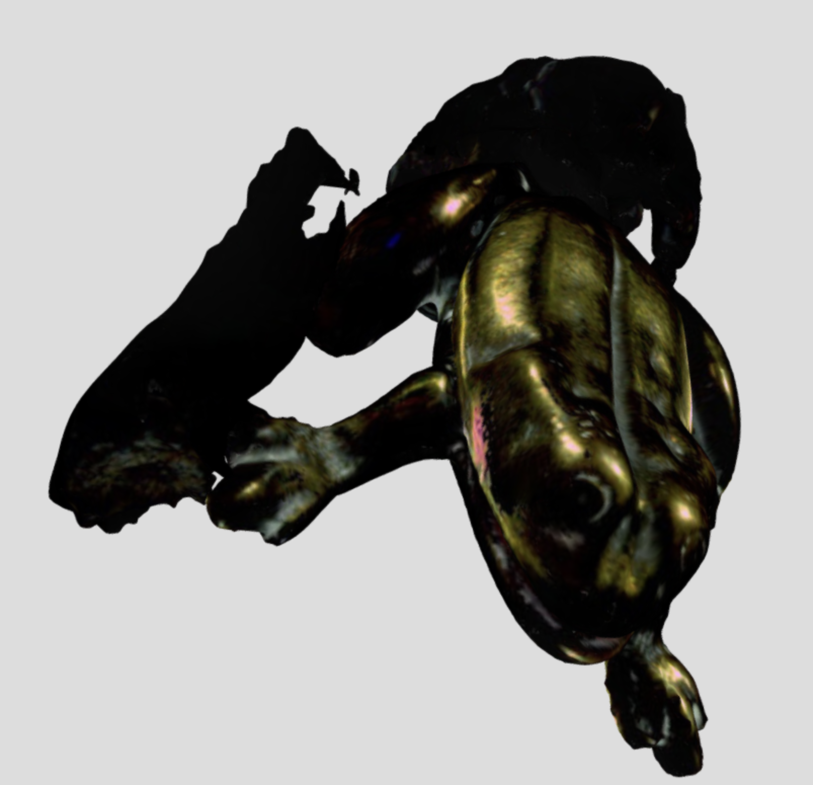 Still image of a gilt frog, captured from a 3D scan of the object.